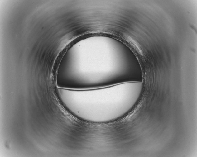 X0000094200876200710260910