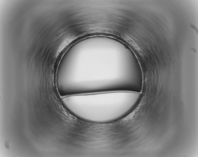 X0000094200877200710260910