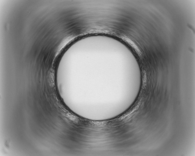X0000094200878200710260910