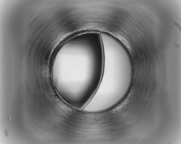 X0000094200880200710260910