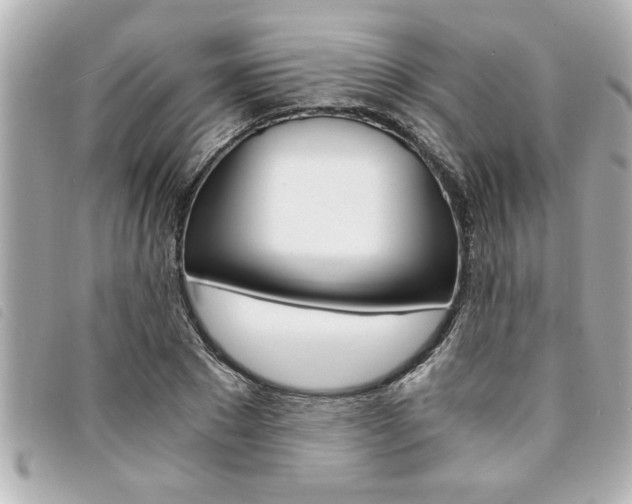 X0000094200881200710260910