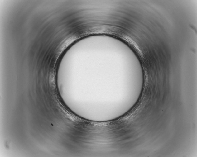 X0000094200882200710260910