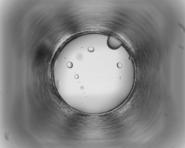 X0000094200883200710260910