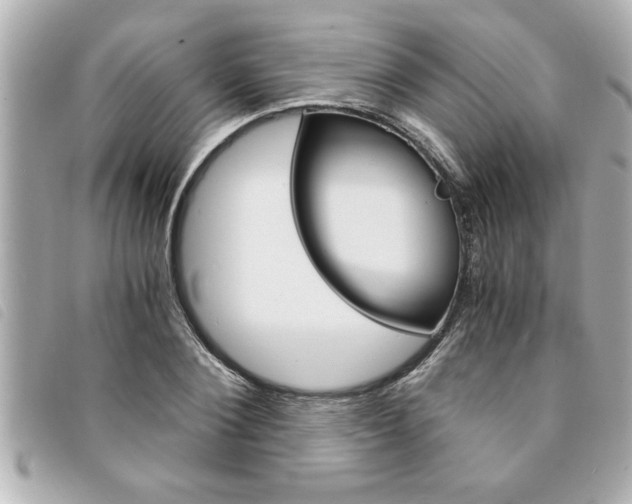 X0000094200884200710260910