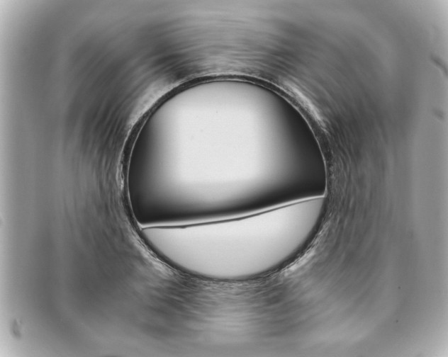 X0000094200885200710260910