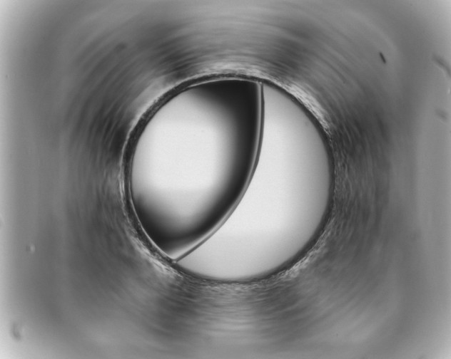 X0000094200888200710260910