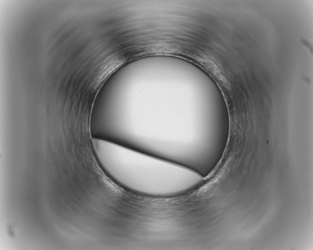 X0000094200889200710260910