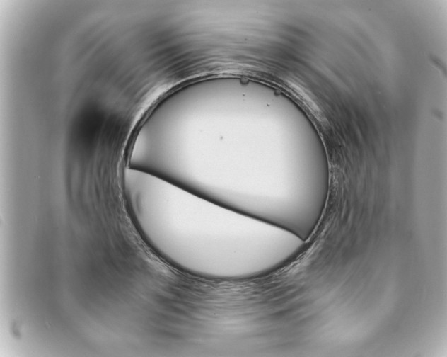 X0000094200891200710260910