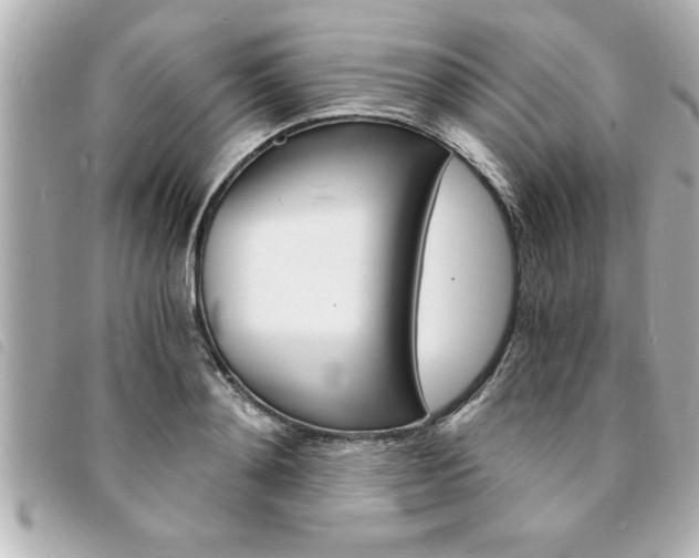 X0000094200892200710260910