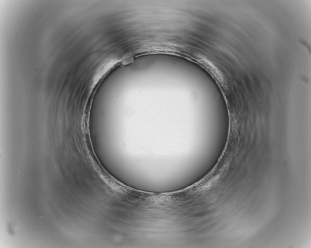 X0000094200893200710260910