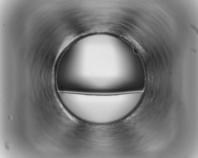 X0000094200894200710260910