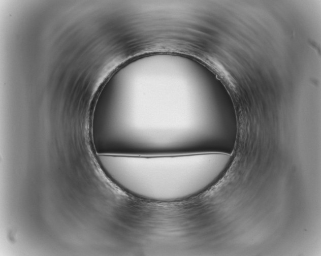 X0000094200896200710260910