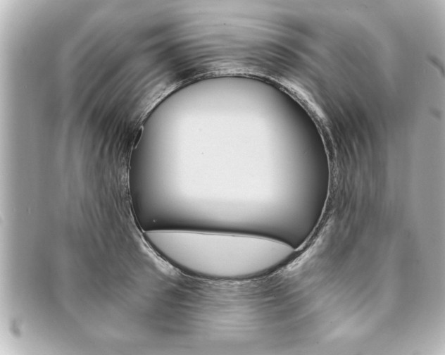 X0000094200897200710260910