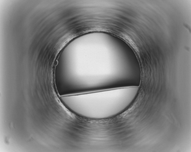 X0000094200898200710260910