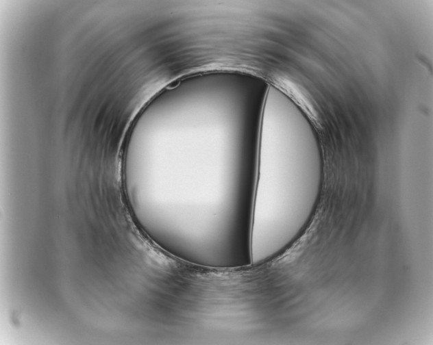 X0000094200900200710260910