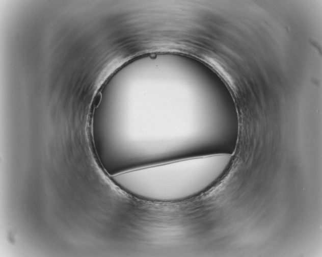 X0000094200901200710260910