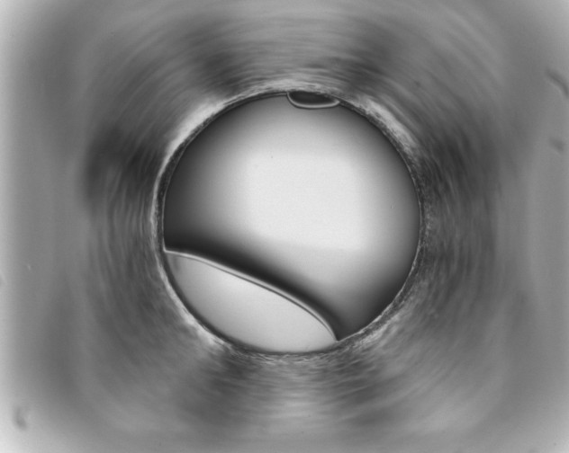 X0000094200902200710260910