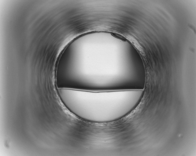 X0000094200904200710260910