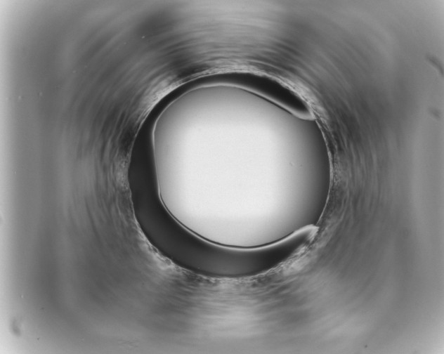 X0000094200905200710260910