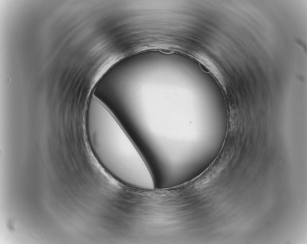 X0000094200906200710260910