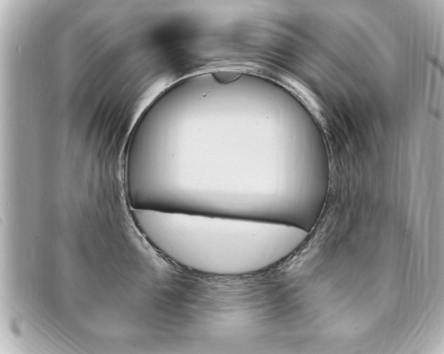 X0000094200907200710260910