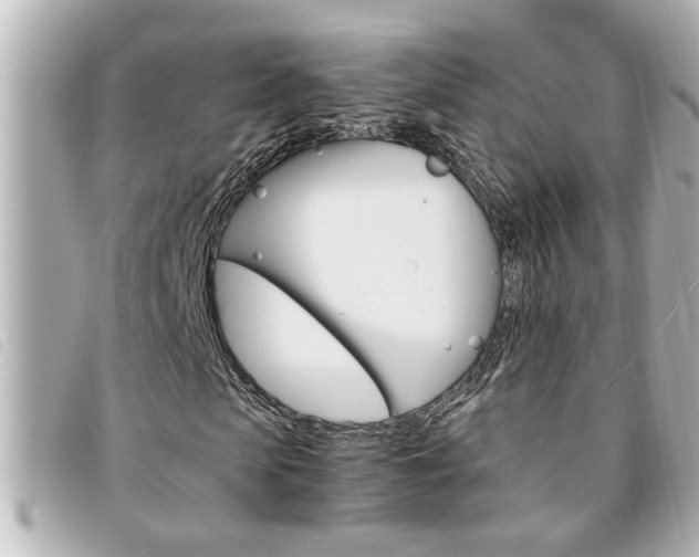 X0000094200913200710260909