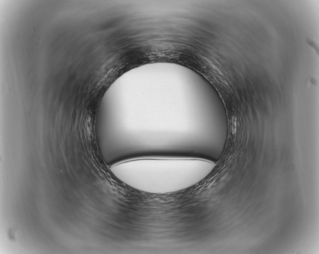 X0000094200915200710260909