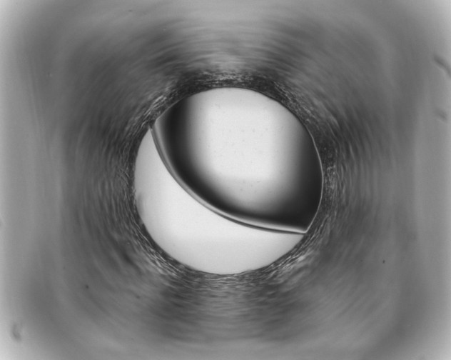 X0000094200916200710260909