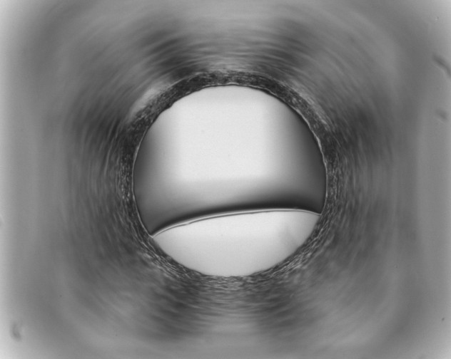 X0000094200919200710260909