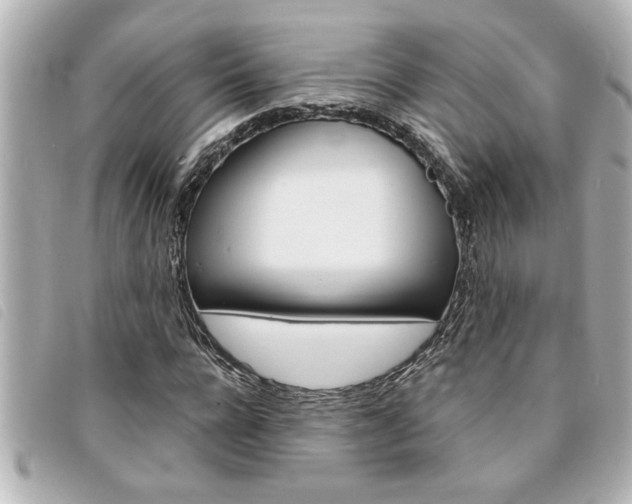 X0000094200920200710260909