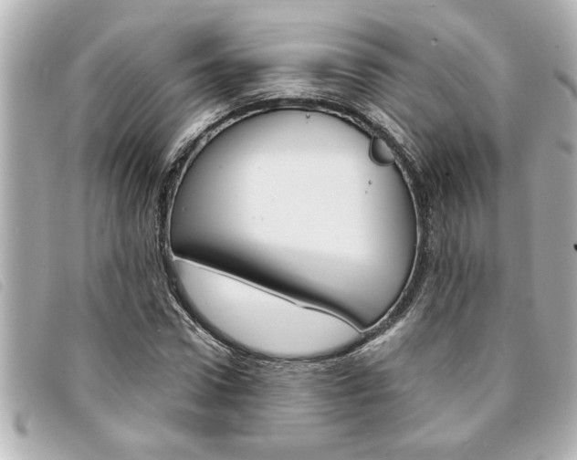 X0000094200922200710260909