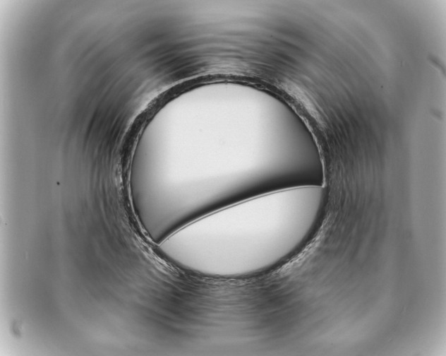 X0000094200923200710260909