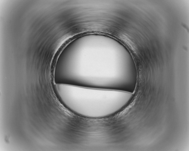 X0000094200924200710260909