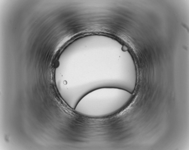 X0000094200925200710260909