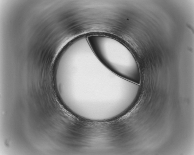 X0000094200926200710260909