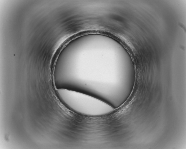 X0000094200927200710260909