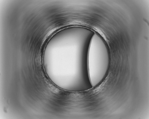 X0000094200931200710260909