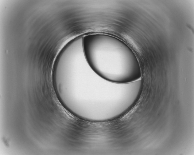 X0000094200932200710260909