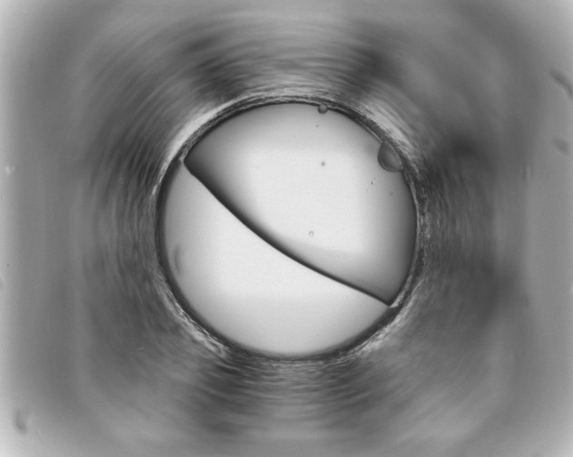 X0000094200933200710260909