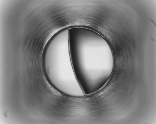 X0000094200934200710260909