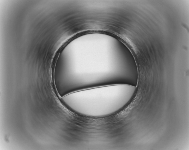 X0000094200935200710260909