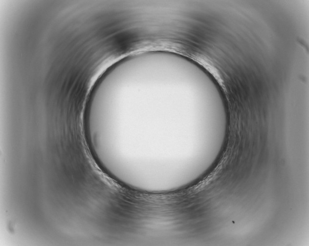 X0000094200936200710260909