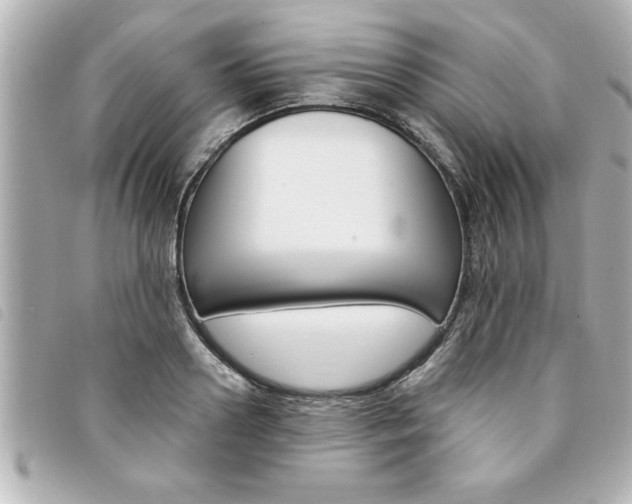 X0000094200938200710260909