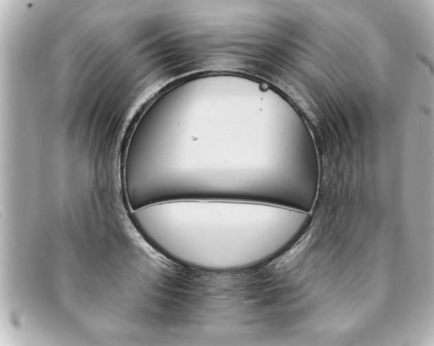 X0000094200939200710260909