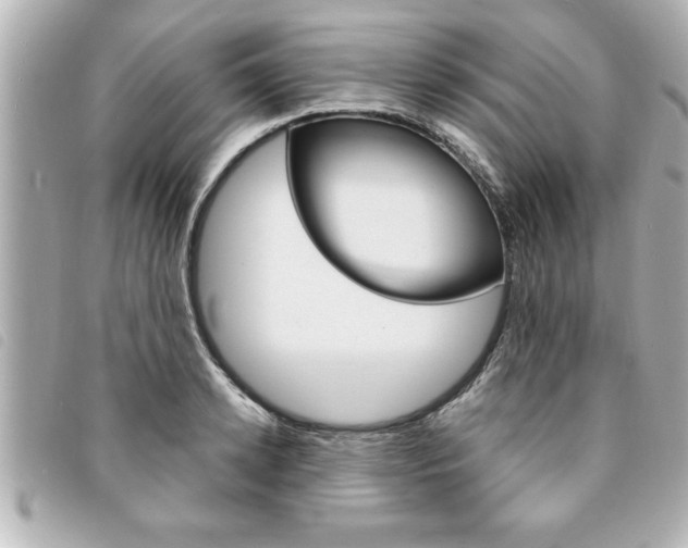 X0000094200942200710260909