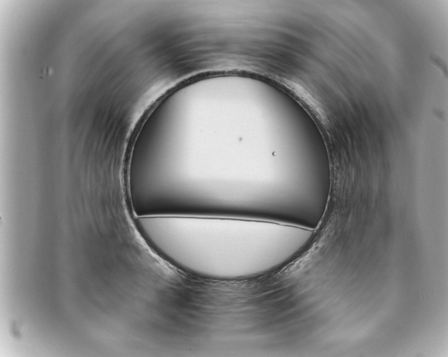 X0000094200943200710260909