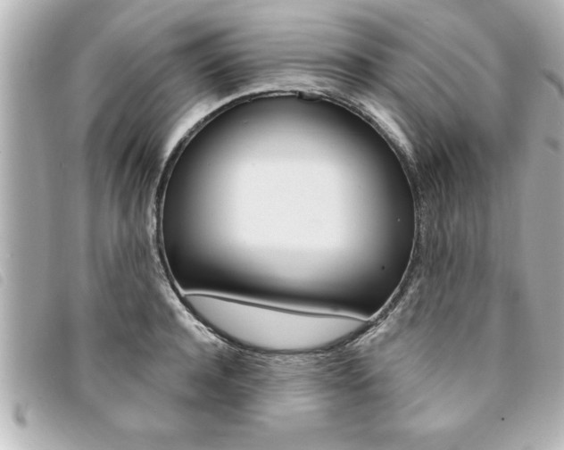 X0000094200944200710260909