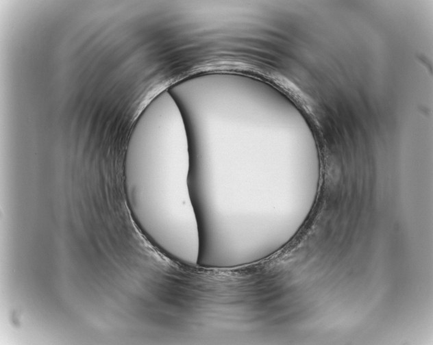 X0000094200945200710260909