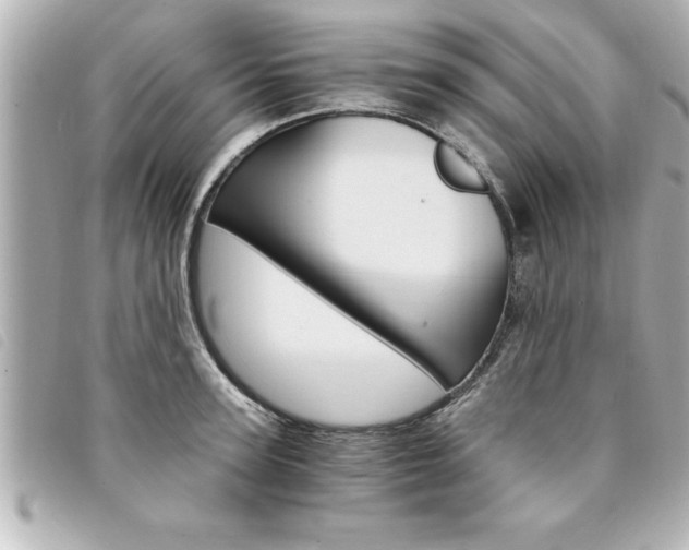 X0000094200947200710260909
