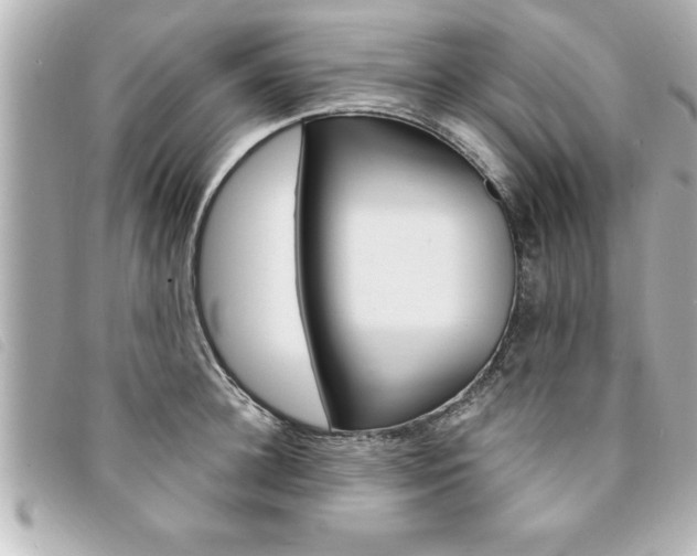 X0000094200948200710260909